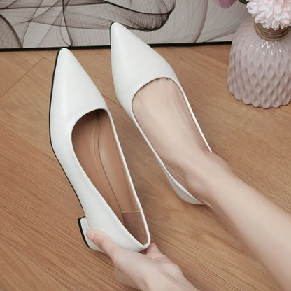 568bb435-f42a-4f0c-8563-d2c98e3f7f90-Max-Origin