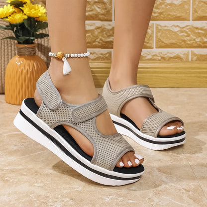 72a6fb32-02fc-48ef-afcd-7ee18098e3ae-Max-Origin