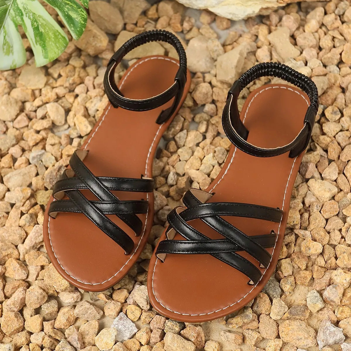 bb24f22e-91db-4142-a8db-763612940c1b-Max-Origin