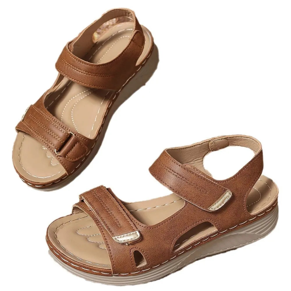 d738d69b-1b3f-4e75-a348-5d88f75d4b5f-Max