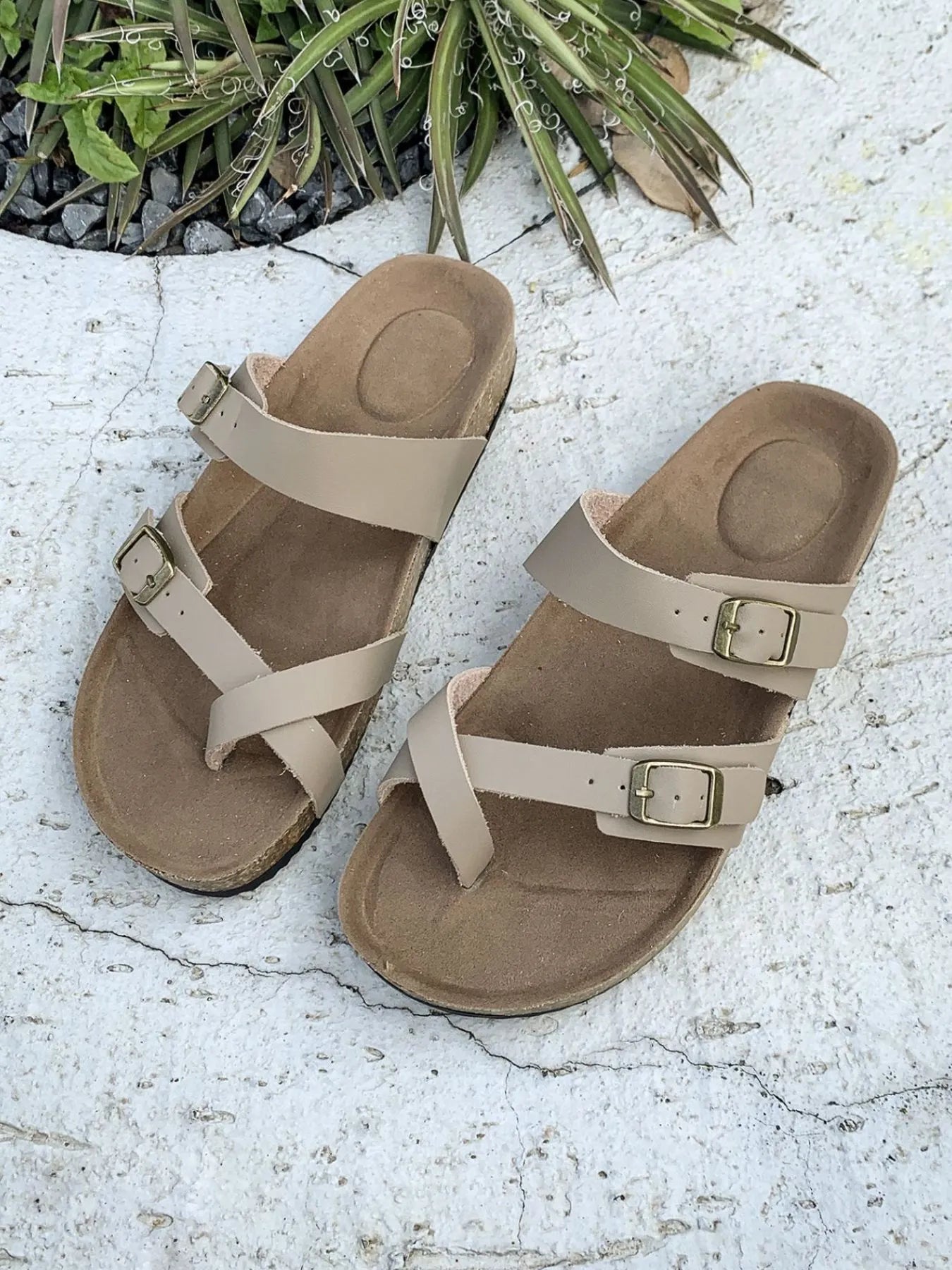 f5f8dc38-8f98-4018-baf5-07b3e42f9a5b-Max-Origin